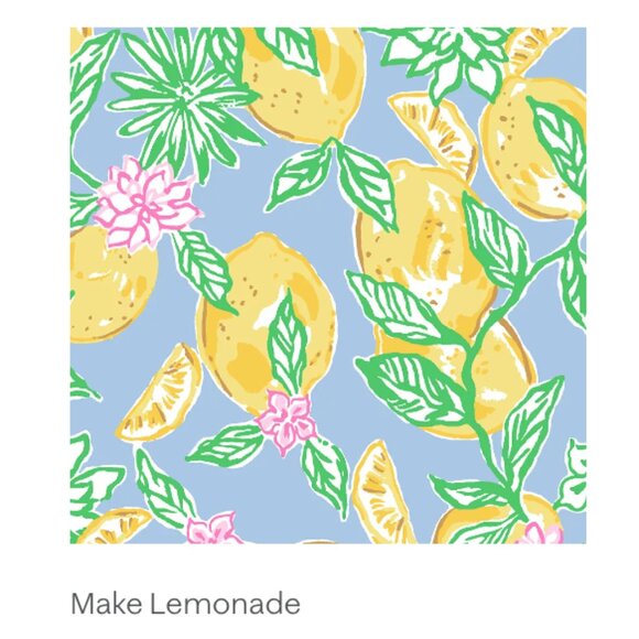 Lilly Pulitzer Picnic Blanket Bluette Make Lemonade - Picture 5 of 15